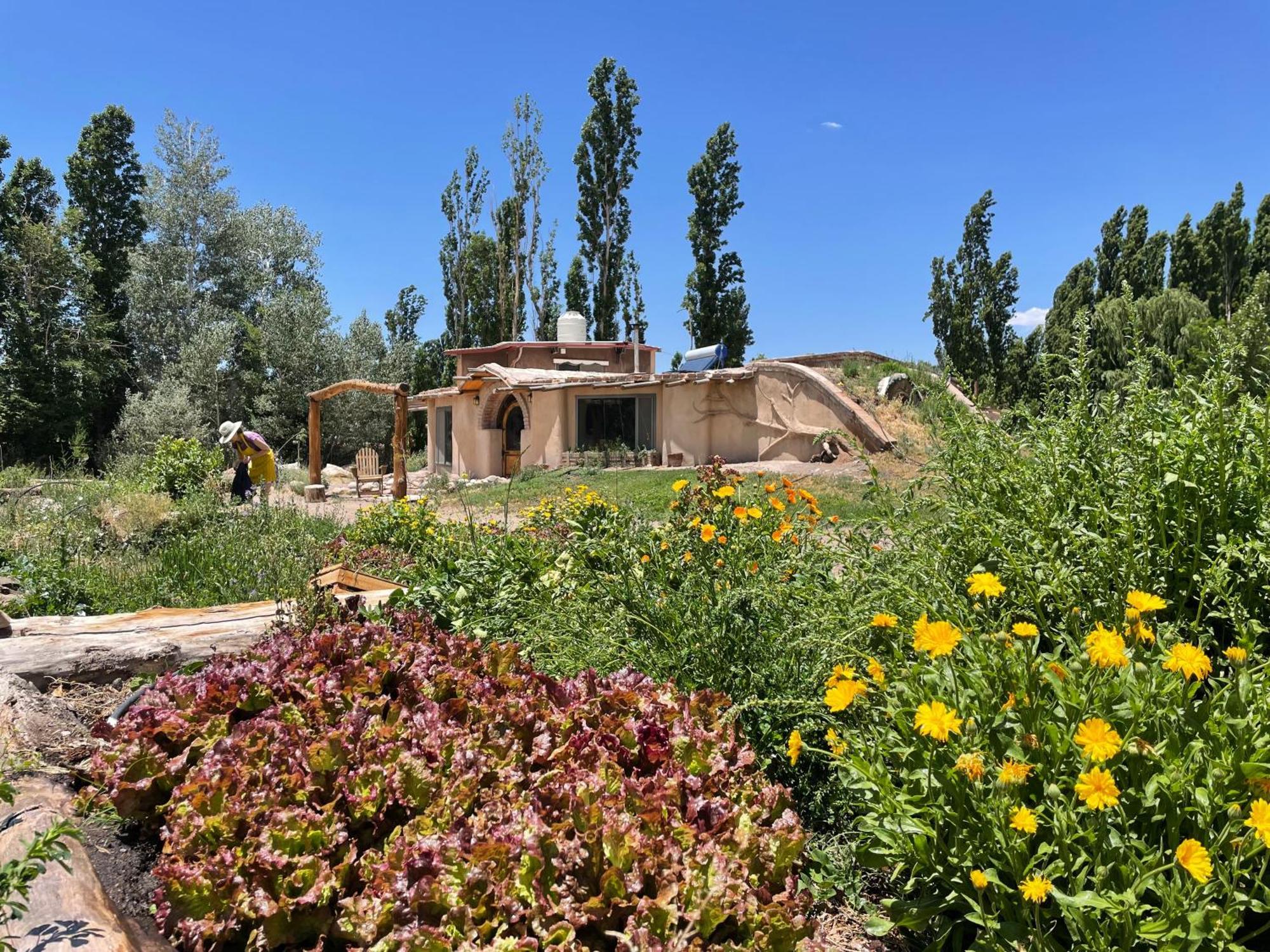 מלון Las Flores  La Comarca Del Jarillal מראה חיצוני תמונה